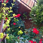 Alojamento de Acomodação e Pequeno-almoço Limone 4*
