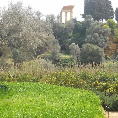 Limone 4*
