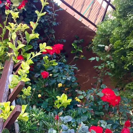 Bed and Breakfast Limone 4*