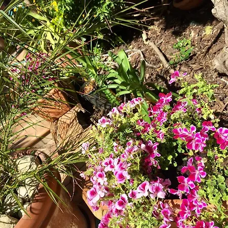 Bed and Breakfast Limone San Leone