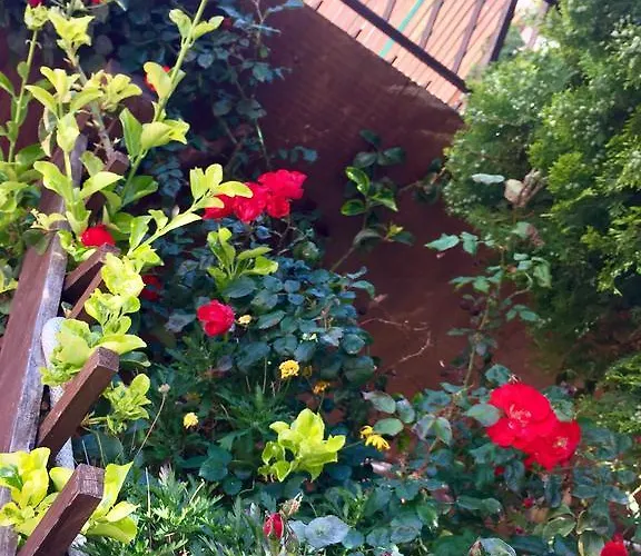 住宿加早餐酒店 Limone 4*